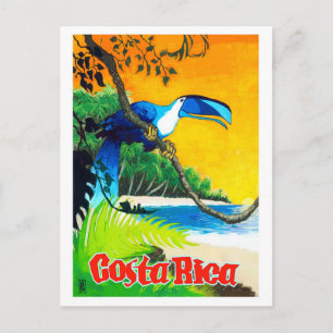 Cartão Postal Costa Rica, papagaio exótico na praia, safra