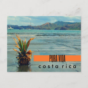 Cartão Postal Costa Rica Pineapple no Beach Postcard