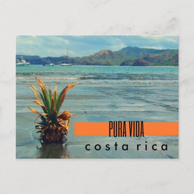 Cartão Postal Costa Rica Pineapple no Beach Postcard (Frente)
