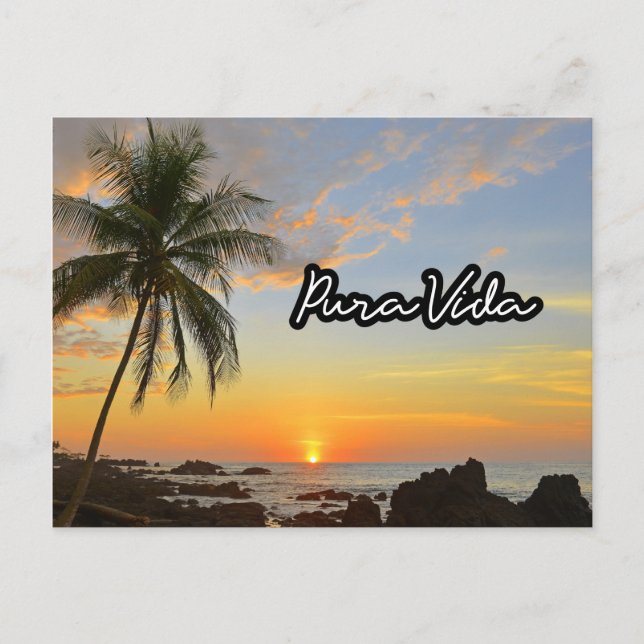 Cartão Postal Costa Rica Pura Vida Beach Souvenir (Frente)