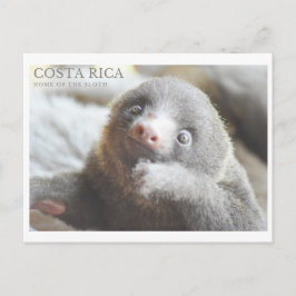 Cartão postal Costa Rica souvenir 