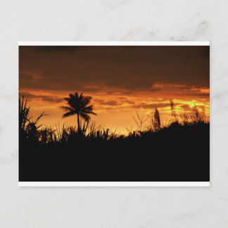 Cartão Postal Costa Rica Sunset