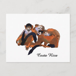 Cartão Postal Costa Rica Titi Monkey