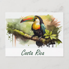 Cartão Postal Costa Rica Toucan