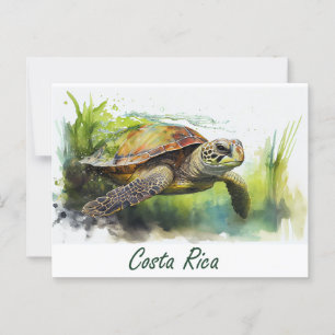 Cartão Postal Costa Rica Turtle