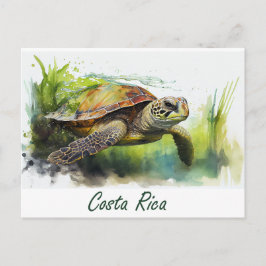 Cartão Postal Costa Rica Turtle