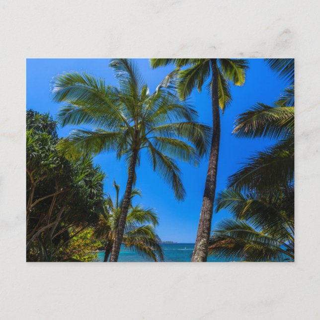 Cartão Postal Costa tropical 2 (Frente)
