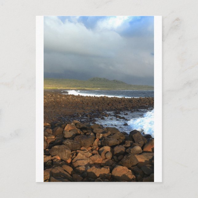 Cartão Postal costa vulcânica das Ilhas Galápagos (Frente)