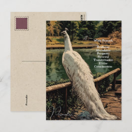 Cartão Postal Cota Inspiradora Pavão Branco Espiritual