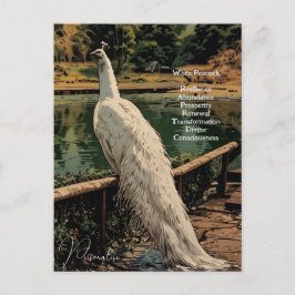 Cartão Postal Cota Inspiradora Pavão Branco Espiritual