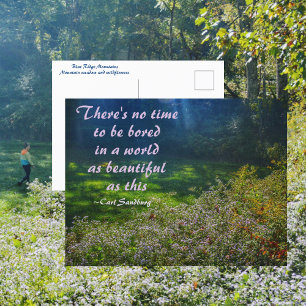 Cartão Postal Cota Sandburg, Montanhas Blue Ridge de Montanhas M