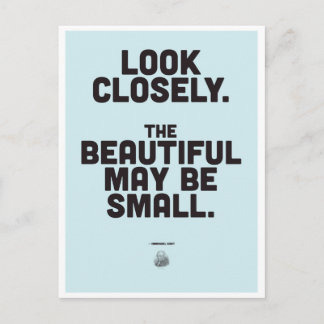 Cartão Postal Cotação Inspiracional Immanuel Kant