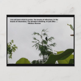 Cartão Postal Cotação Wallace Stevens