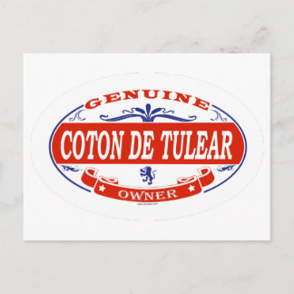 Cartão Postal Coton De Tulear
