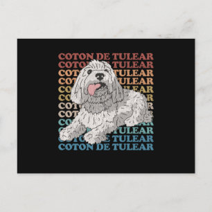 Cartão Postal Coton de Tulear   Proprietário do cão Coton de Tul