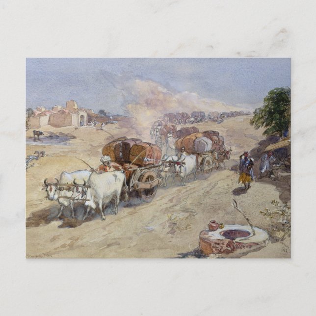 Cartão Postal Cotton Transport, Índia, 1862 (c/c sobre lápis hei (Frente)