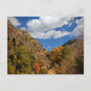 Cartão Postal Cottonwood Canyon Scenic Byway Autumn em Utah