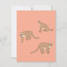 Cartão Postal Cougar