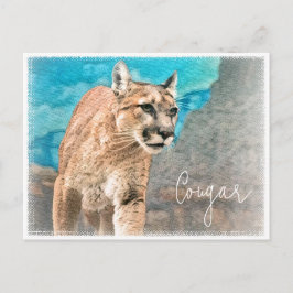 Cartão Postal Cougar ポストカード
