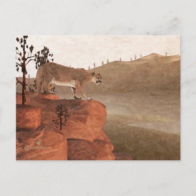 Cartão Postal Cougar - Concentração (Frente)