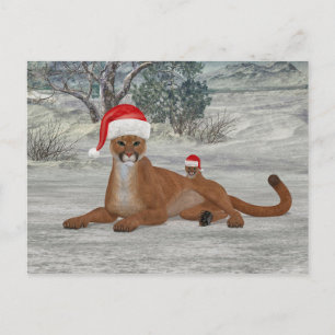 Cartão Postal Cougar De Natal Com Cubo