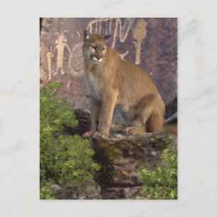 Cartão Postal Cougar e Pictografias