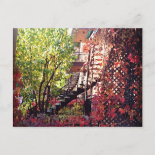 Cartão Postal couleur