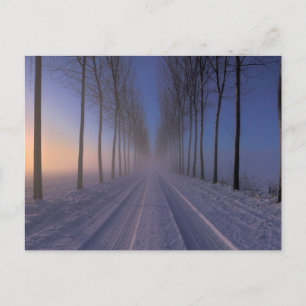 Cartão Postal Countryside Perto de Castagnole   Piemonte Itália