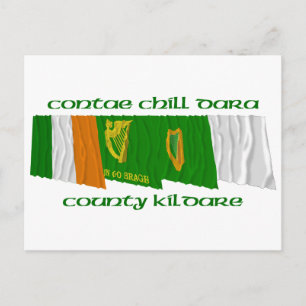Cartão Postal County Kildare Flags