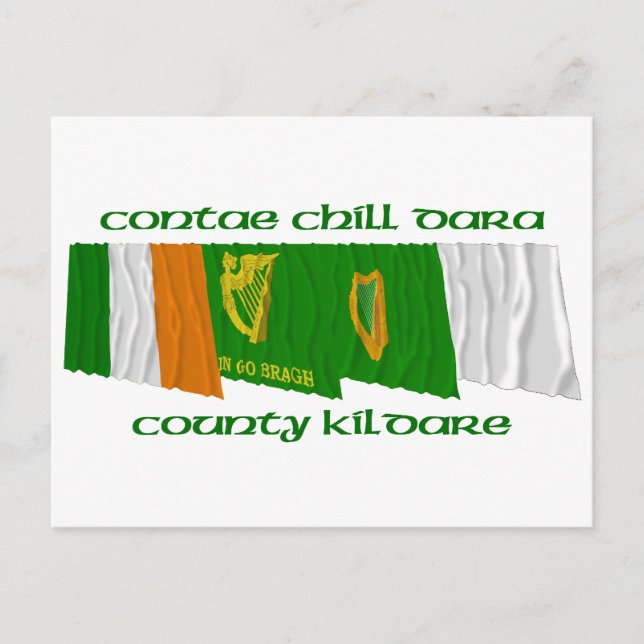 Cartão Postal County Kildare Flags (Frente)