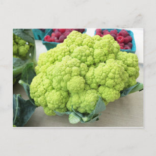 Cartão Postal Couve-flor Verde