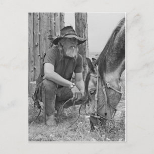 Cartão Postal Cowboy