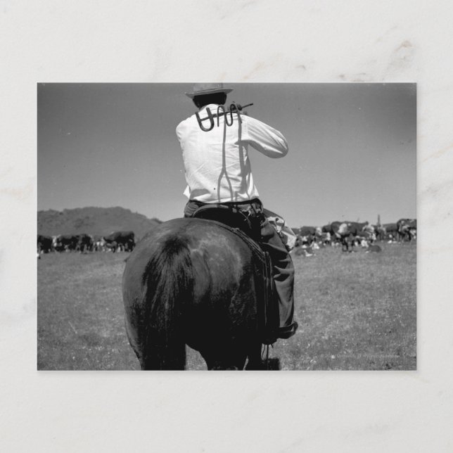 Cartão Postal Cowboy a cavalo com duas marcas. (Frente)