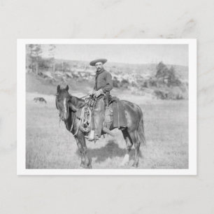 Cartão Postal Cowboy em Sua Fotografia de Cavalo, Dakota do Sul