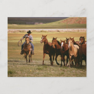 Cartão Postal Cowboy Herding no Ranch