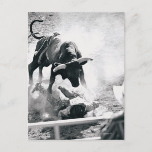 Cartão Postal Cowboy no chão depois de cair do touro