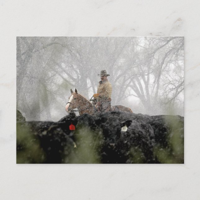 Cartão Postal Cowboy no inverno (Frente)
