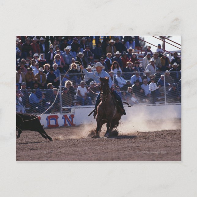 Cartão Postal Cowboy Roping Calf em Rodeo (Frente)