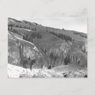 Cartão Postal Cowboy separado de sua manada.