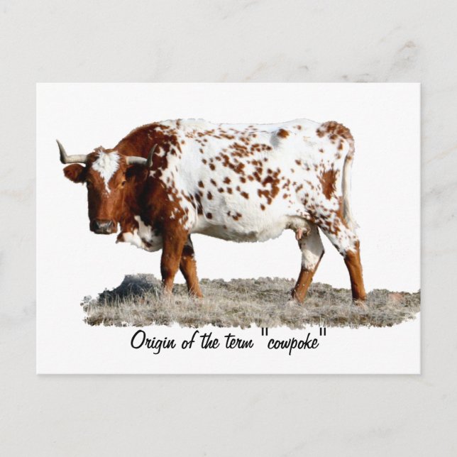 CARTÃO POSTAL COWPOKE (Frente)