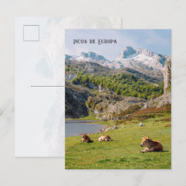 Cartão Postal Cows by the Lakes of Covadonga, Asturias travel