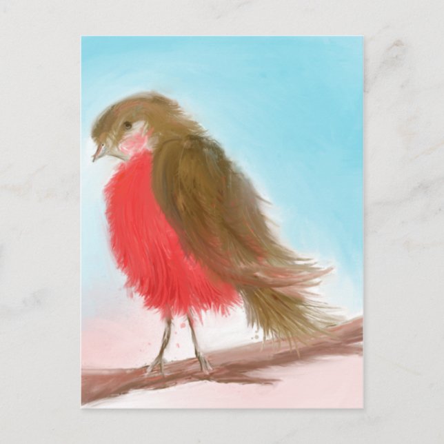 Cartão Postal Coy Robin Postcard (Frente)