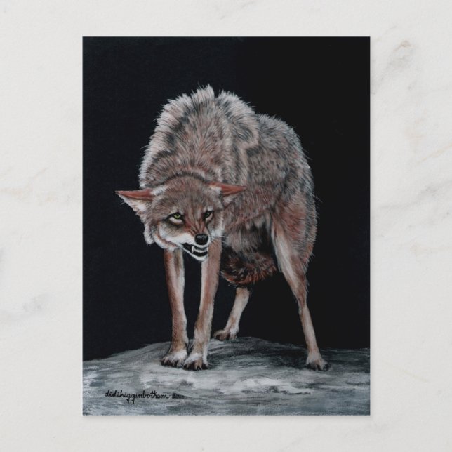 Cartão Postal Coyote 2 (Frente)