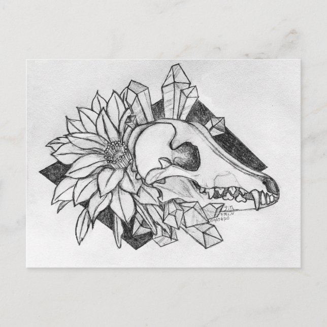 Cartão Postal Coyote de Cristal  (Frente)