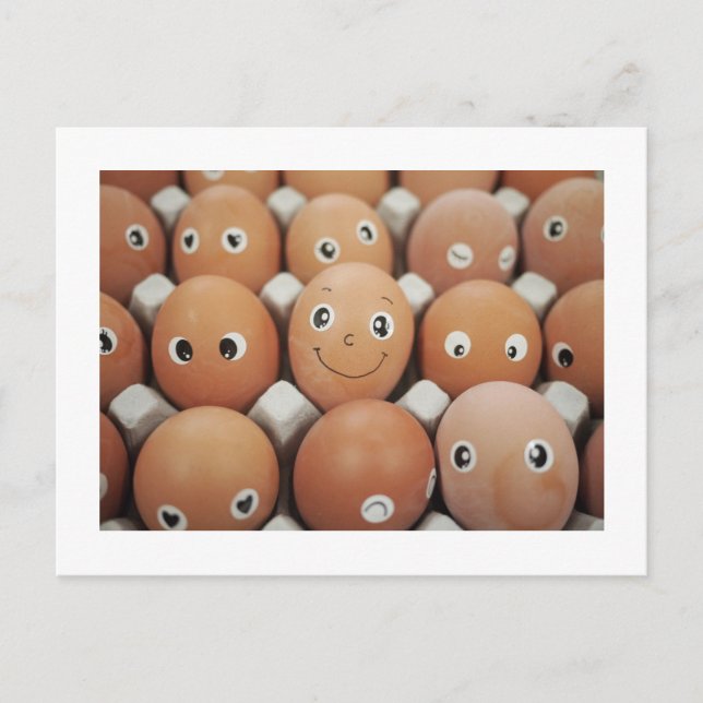 Cartão Postal Cozinha de comida engraçada humor (Frente)