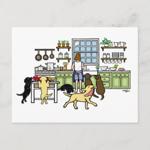Cartão Postal Cozinha de Mãe Labrador
