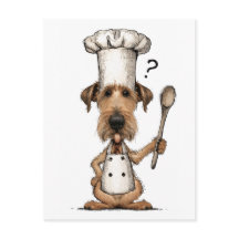 Cozinho Irlandês Terrier Bonito Cozinhando Cachorr