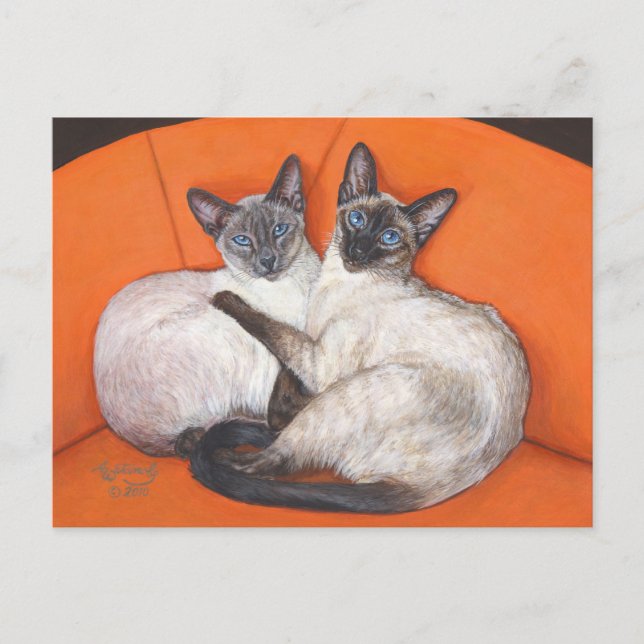 Cartão Postal Cozy Casal Siamese Cat (Frente)