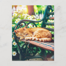 Cartão Postal Cozy Cat Sleeping in Garden on Bench