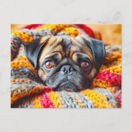 Cartão Postal Cozy Pug Wrapped in Knitted Blanket